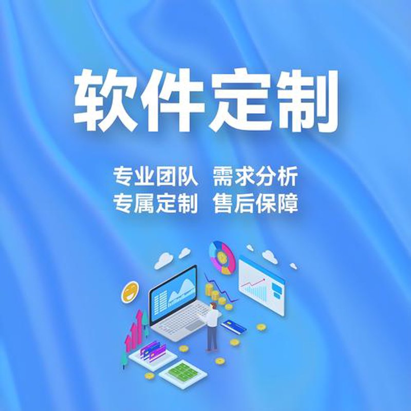 广州软件定制开发